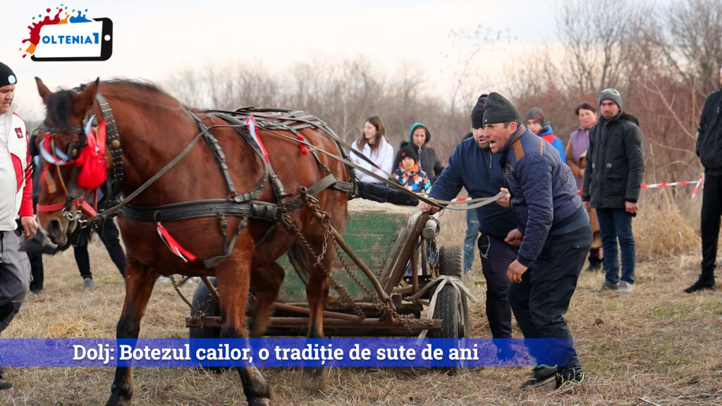 Dolj: Botezul cailor, o tradiție de sute de ani