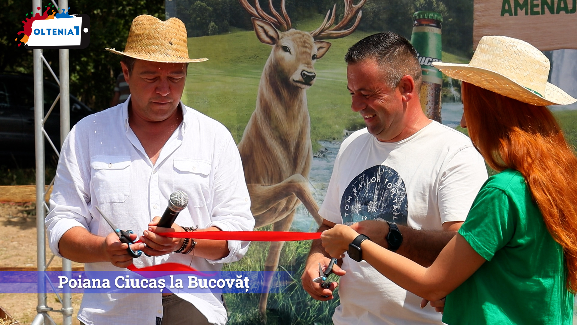 Poiana Ciucaș la Bucovăț
