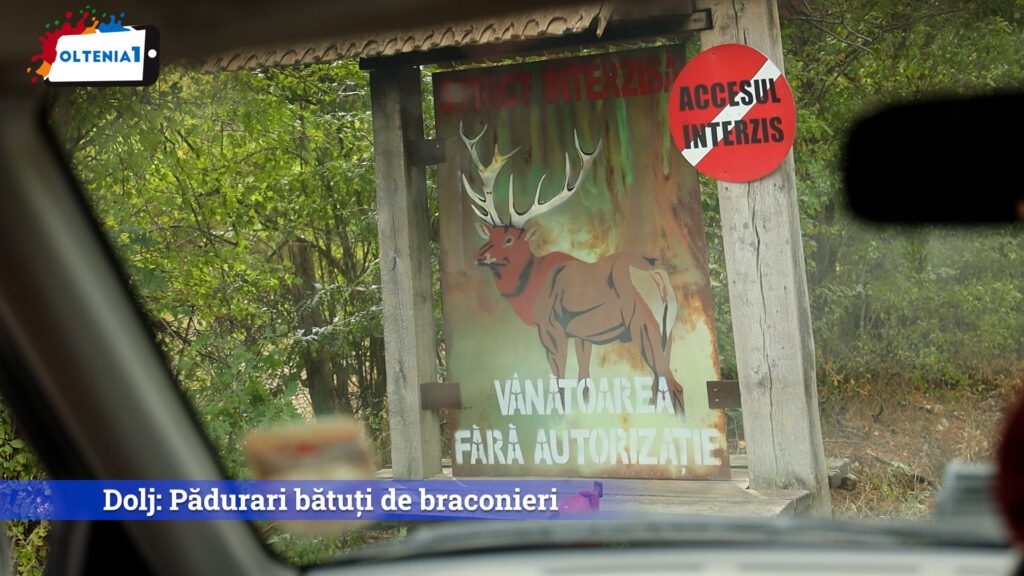 Dolj: Pădurari bătuți de braconieri