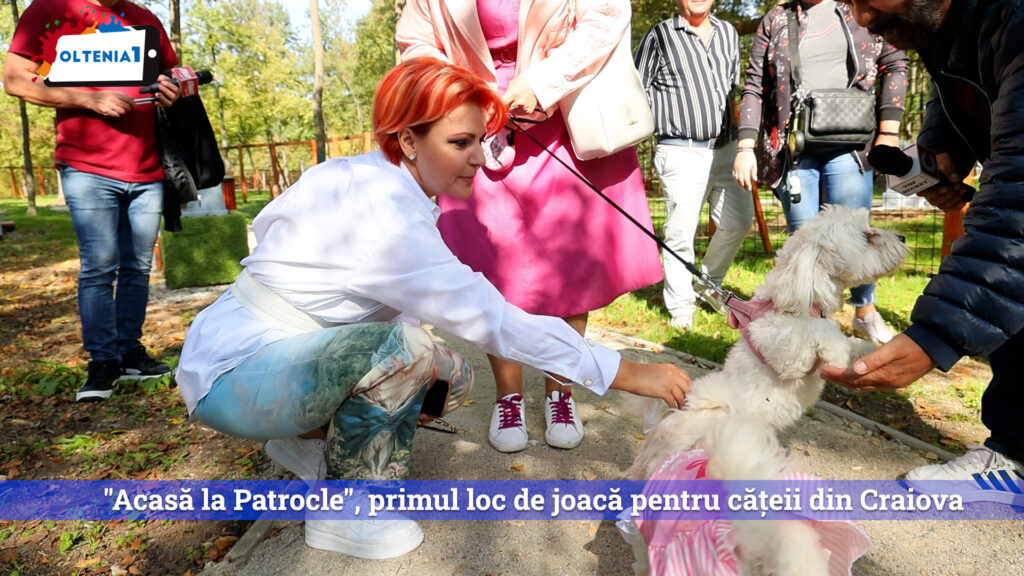 „Acasă la Patrocle”, primul loc de joacă pentru cățeii din Craiova