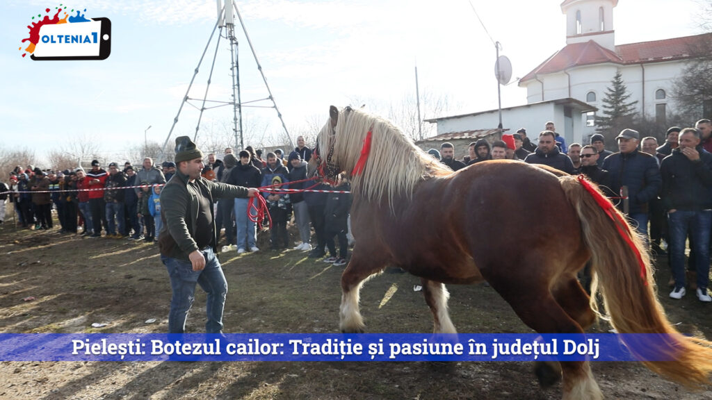 Pielești: Botezul cailor: Tradiție și pasiune în județul Dolj