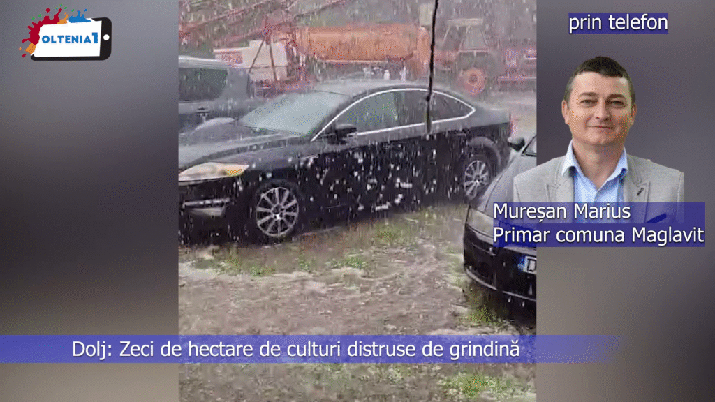 Dolj: Zeci de hectare de culturi distruse de grindină