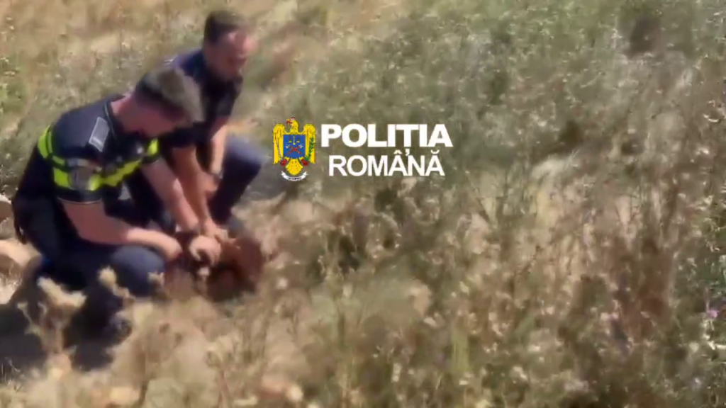 Bărbatul căutat de polițiști în Dolj a fost prins la Catane